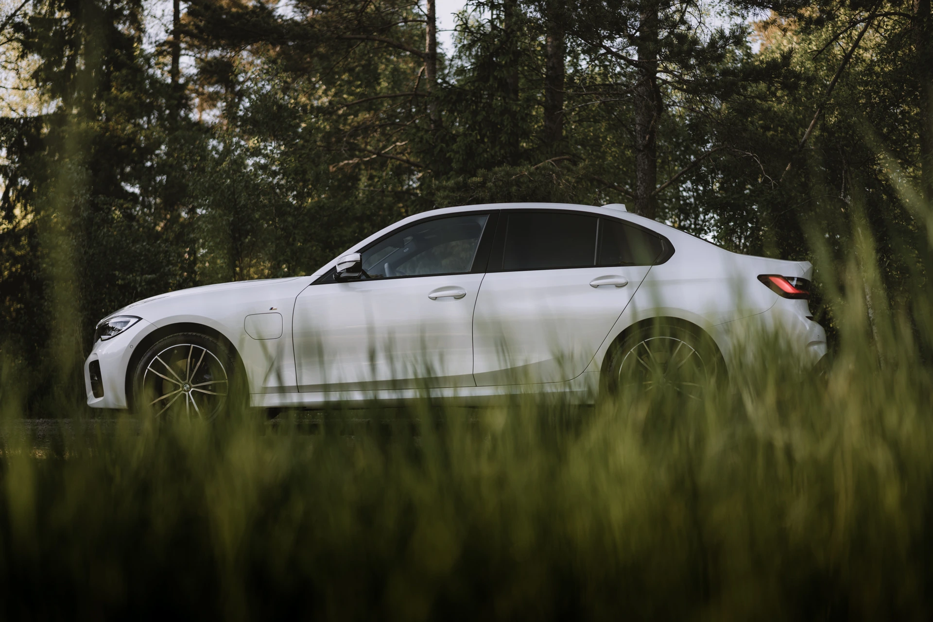 A white BMW sedan parked on a forest track at dusk, framed by tall grass