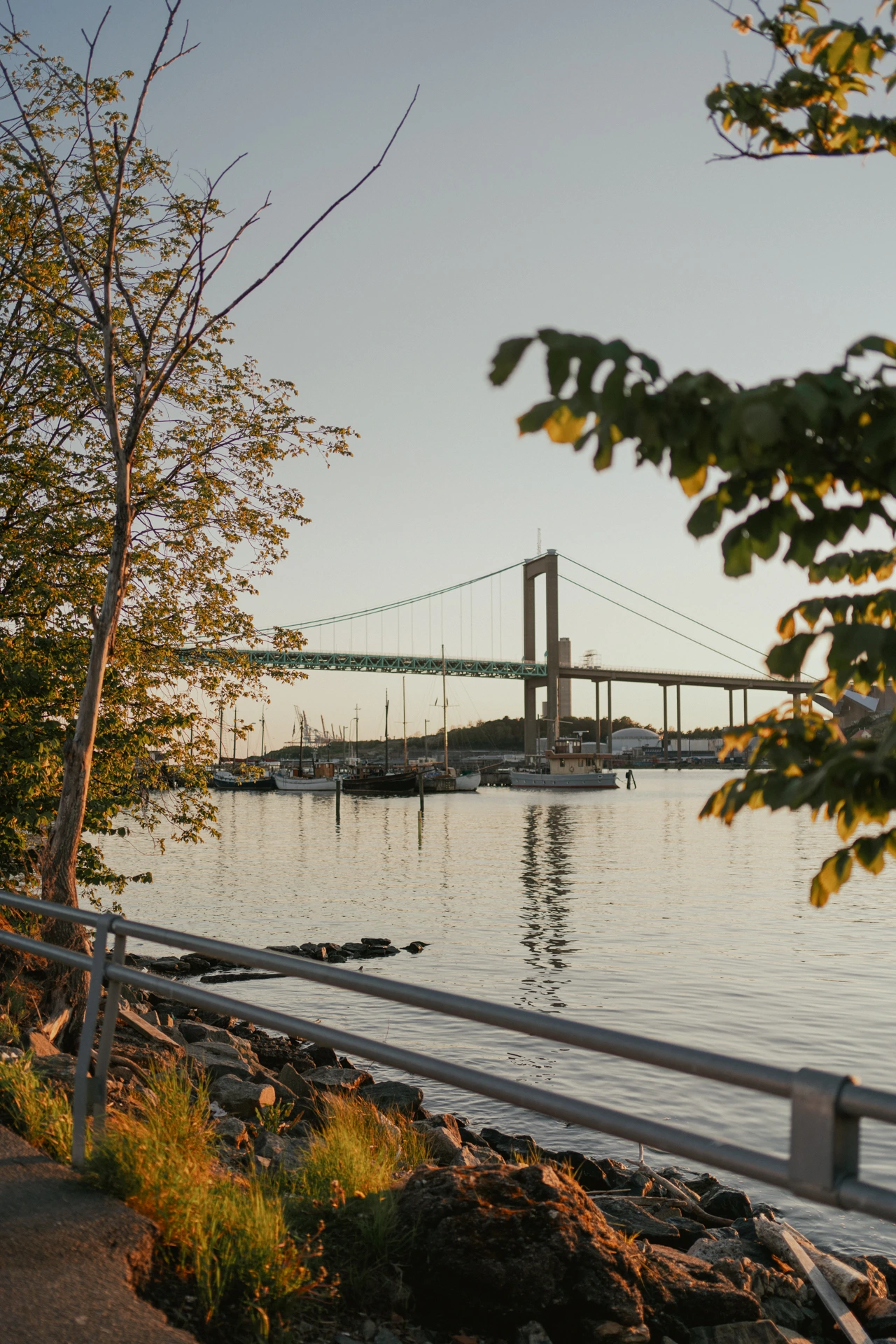 The teal Älvsborg suspension bridge in warm evening light, seen across the water from a rocky shoreline framed by overhanging branches, with a metal railing in the foreground and traditional wooden sailing boats moored along the far bank