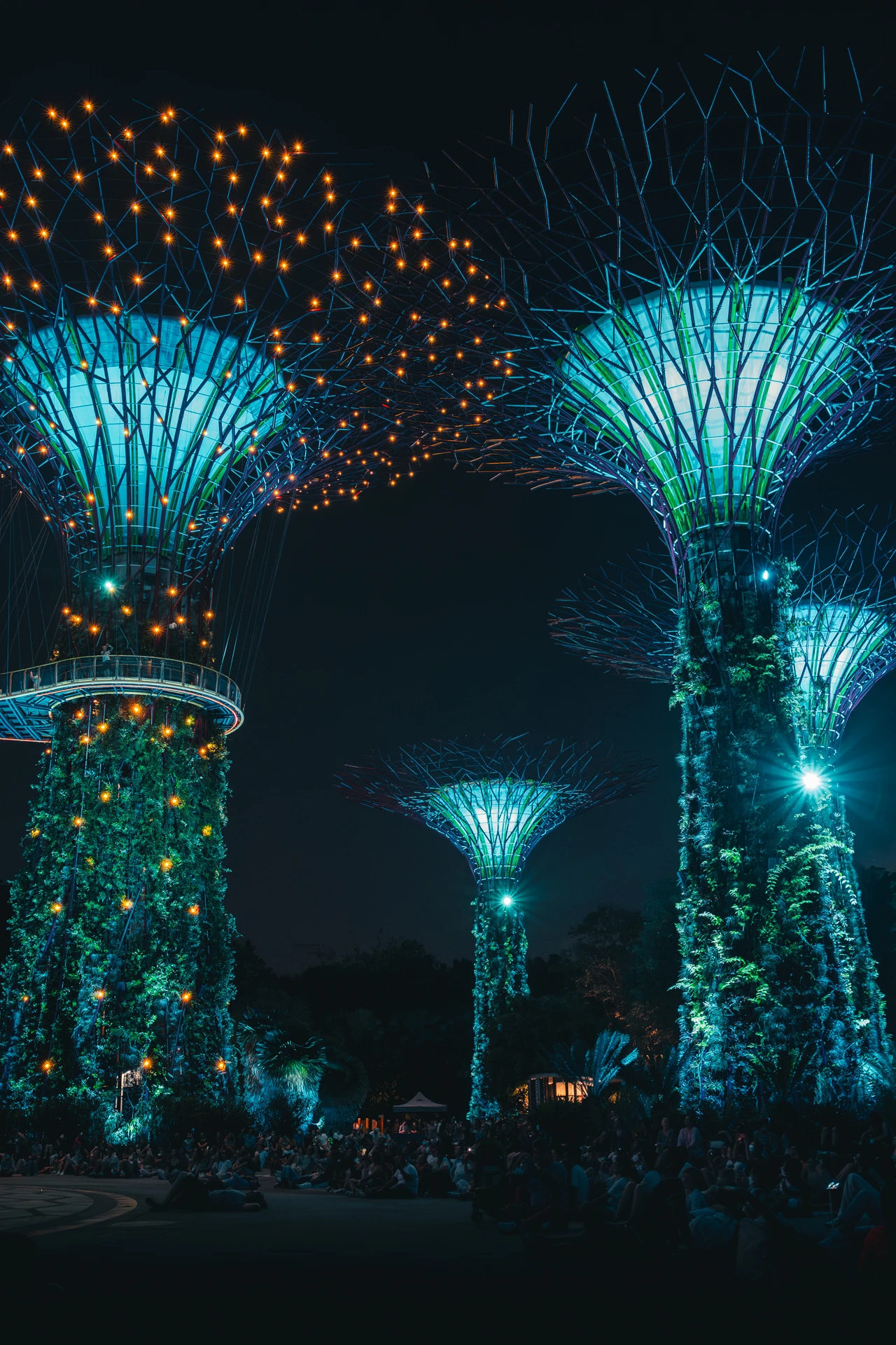 The illuminated Supertree Grove at Gardens by the Bay in Singapore at night, glowing teal with warm string lights during the light show, a crowd seated below