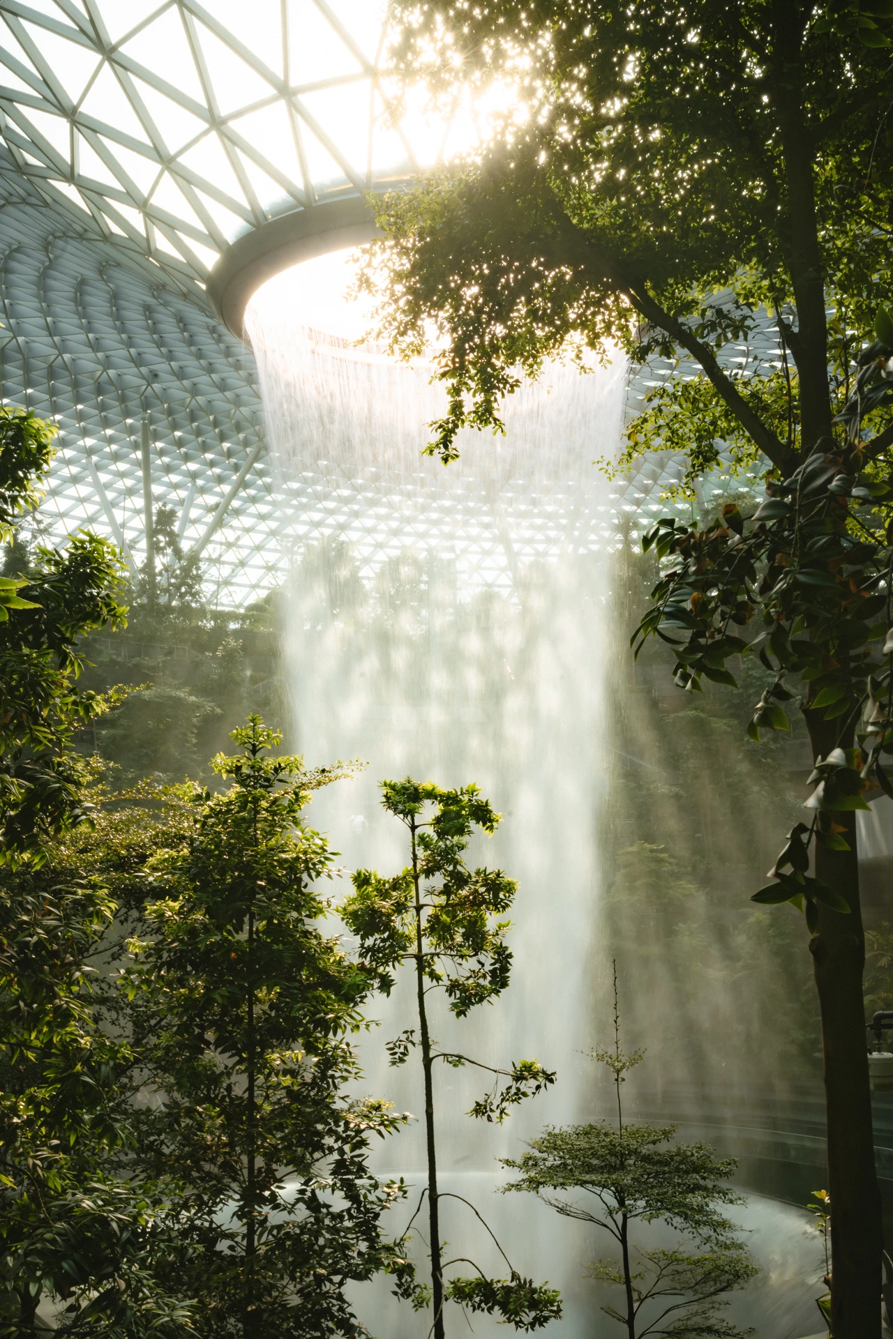 The HSBC Rain Vortex indoor waterfall pouring through the oculus of the glass-and-steel dome at Jewel Changi Airport in Singapore, backlit by afternoon sun and framed by the surrounding forest canopy