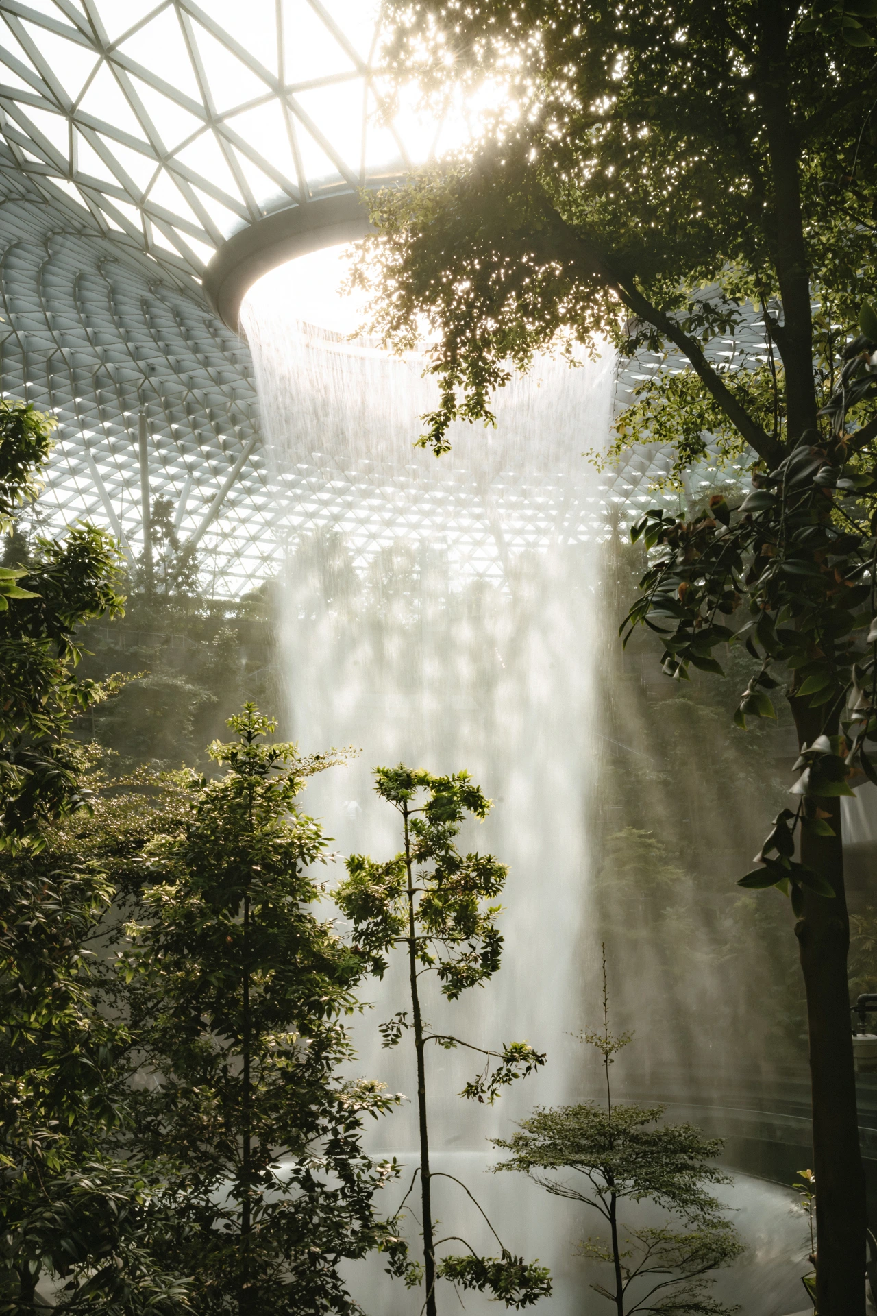 The HSBC Rain Vortex indoor waterfall pouring through the oculus of the glass-and-steel dome at Jewel Changi Airport in Singapore, backlit by afternoon sun and framed by the surrounding forest canopy