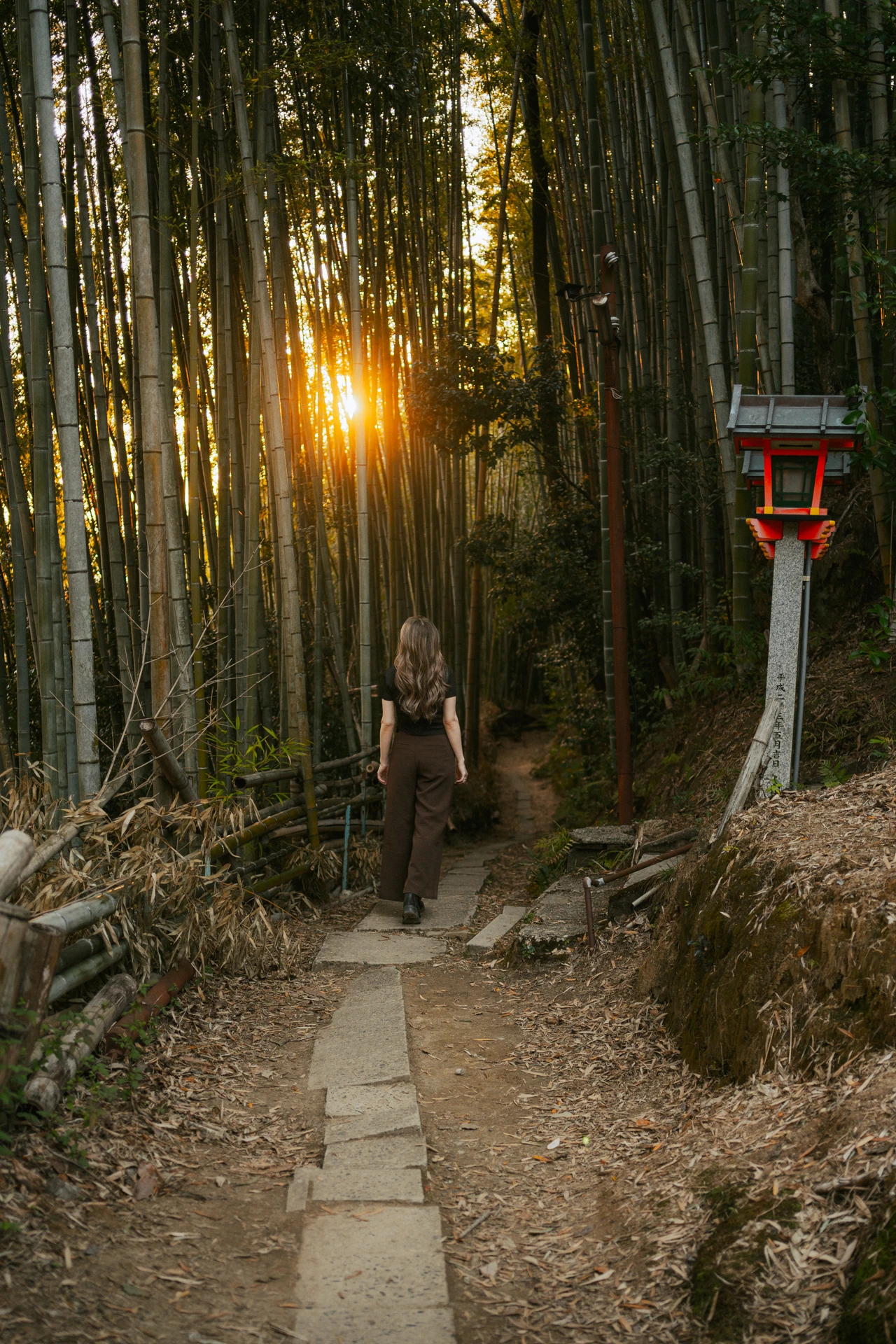 A woman walking away up a stone path through a dense bamboo grove in Kyoto, the low afternoon sun flaring between the stalks, with a red shrine lantern on a stone post to the right